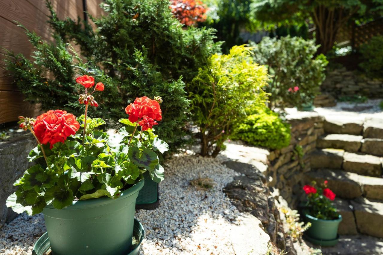 Cecey Vendeghaz Bed & Breakfast Eger